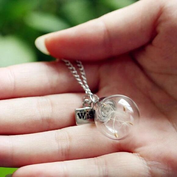 5/$25 Wish Bottle Real Dandelion Seeds Necklace - Picture 5 of 15